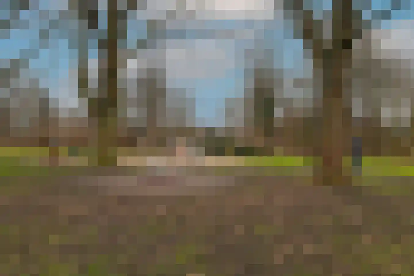 Coornhertkade 137 Alkmaar thumbnail 38