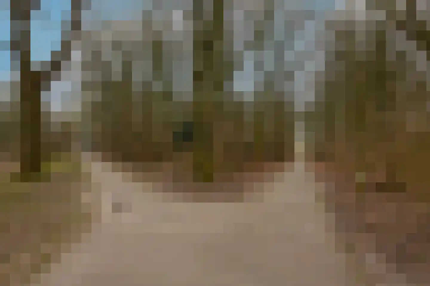 Coornhertkade 137 Alkmaar thumbnail 40