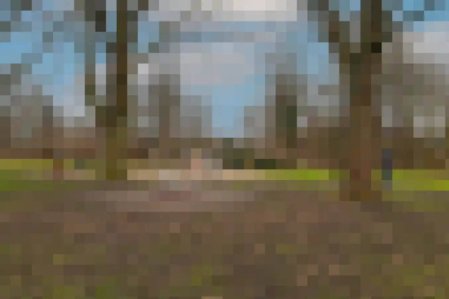 Coornhertkade 137 Alkmaar thumbnail 41