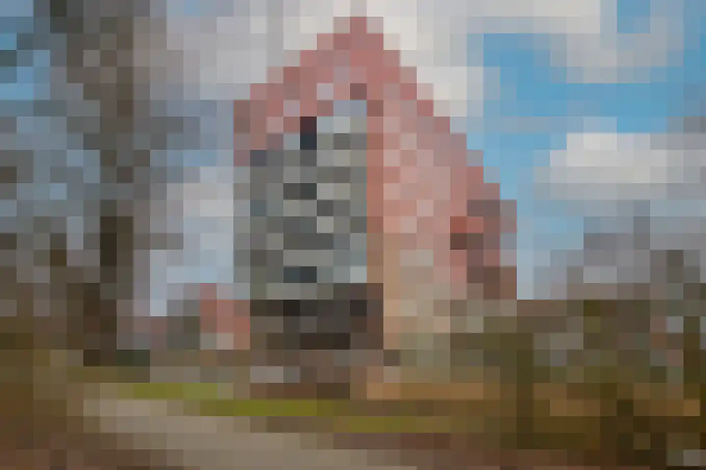Coornhertkade 137 Alkmaar thumbnail 6