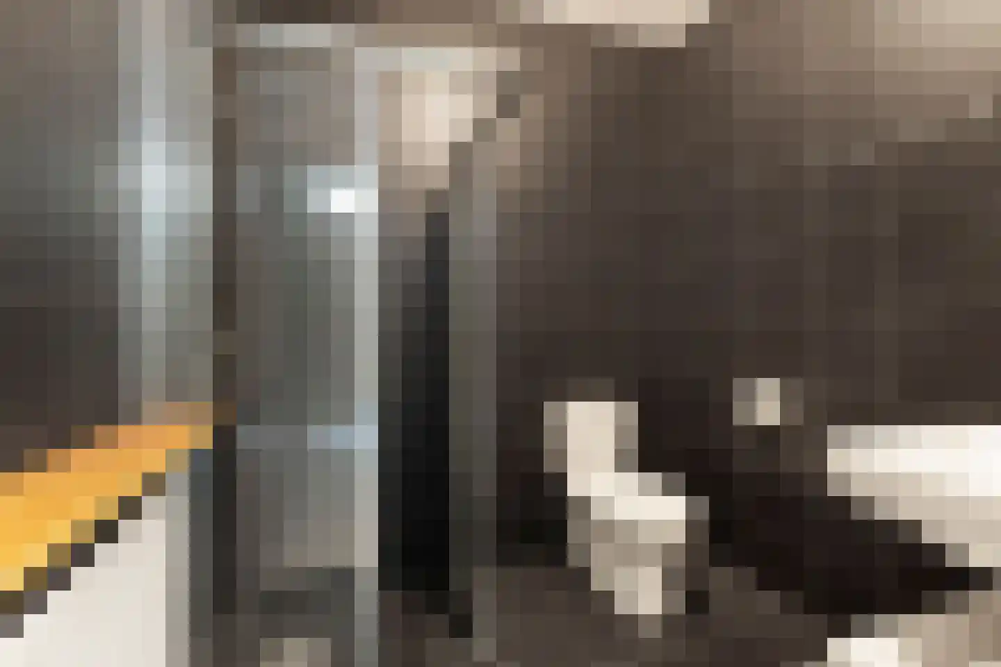 Coornhertkade 151 Alkmaar thumbnail 15