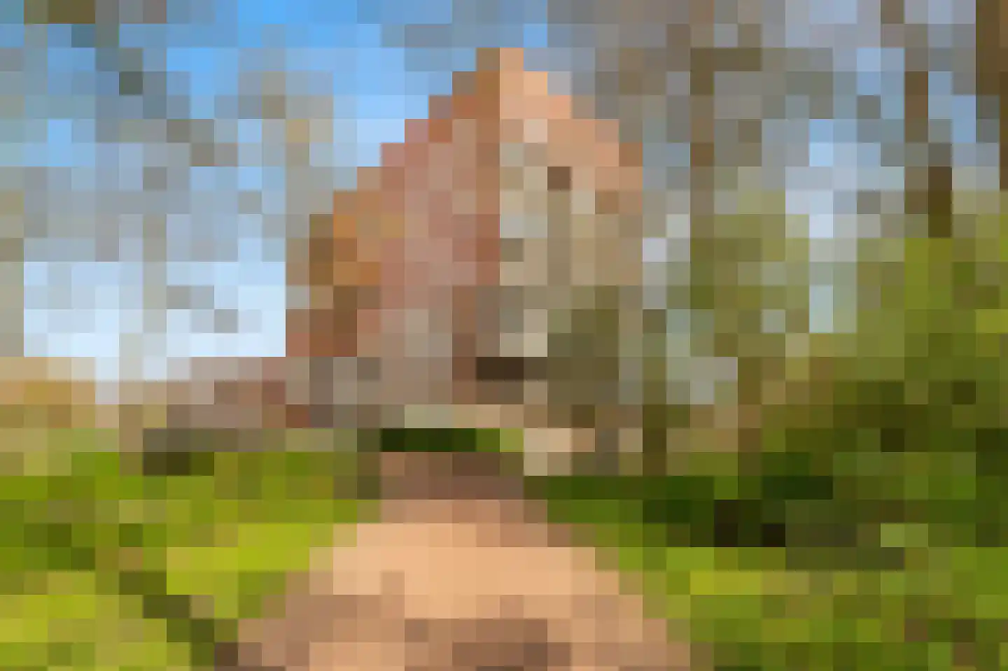 Coornhertkade 151 Alkmaar thumbnail 27