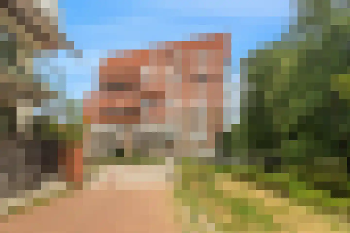 Coornhertkade 151 Alkmaar thumbnail 27
