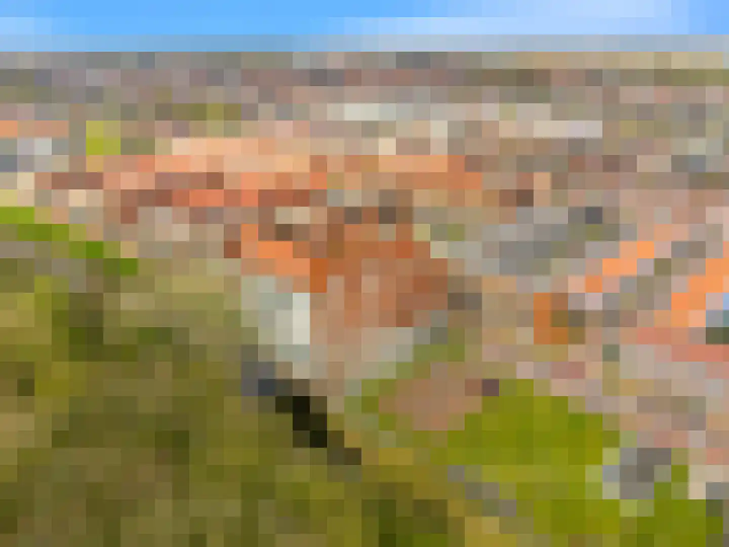 Coornhertkade 151 Alkmaar thumbnail 28