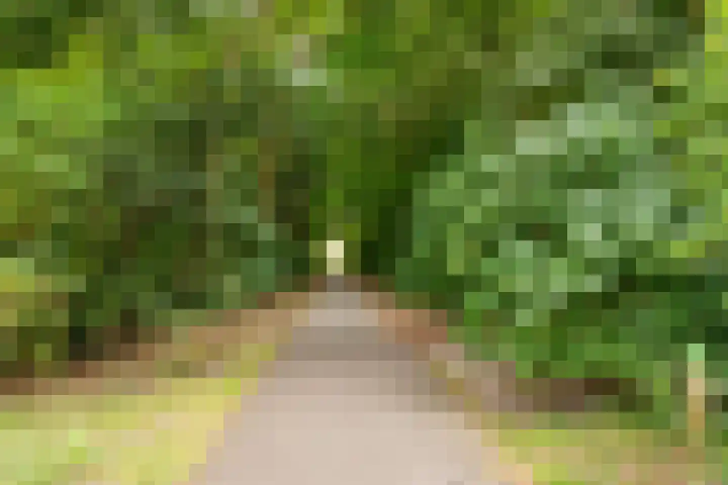 Coornhertkade 151 Alkmaar thumbnail 29