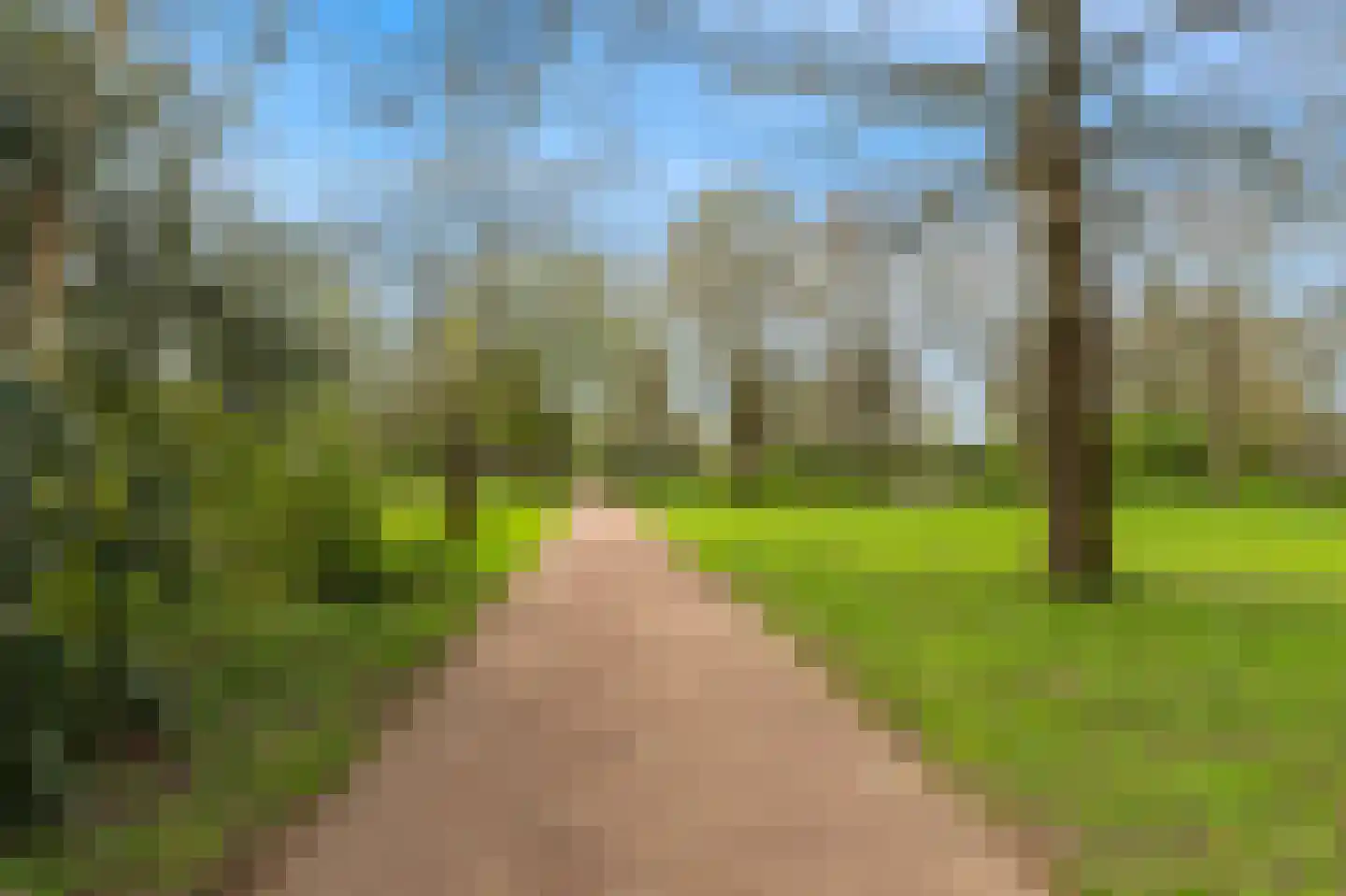 Coornhertkade 151 Alkmaar thumbnail 29