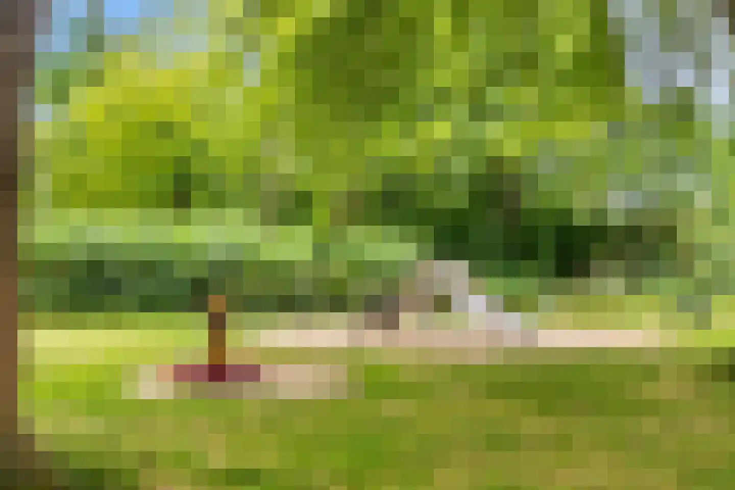 Coornhertkade 151 Alkmaar thumbnail 31