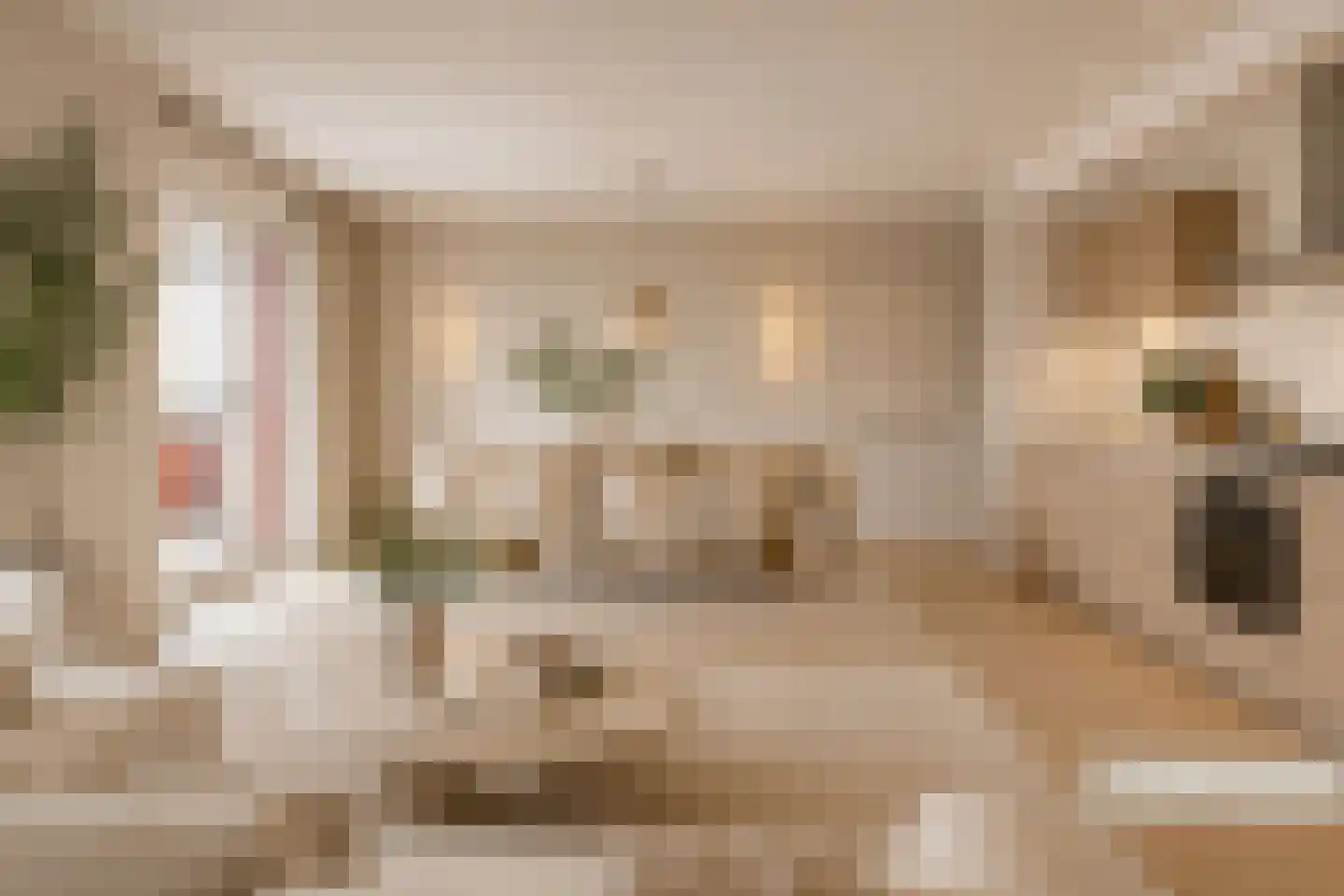 Coornhertkade 151 Alkmaar thumbnail 5