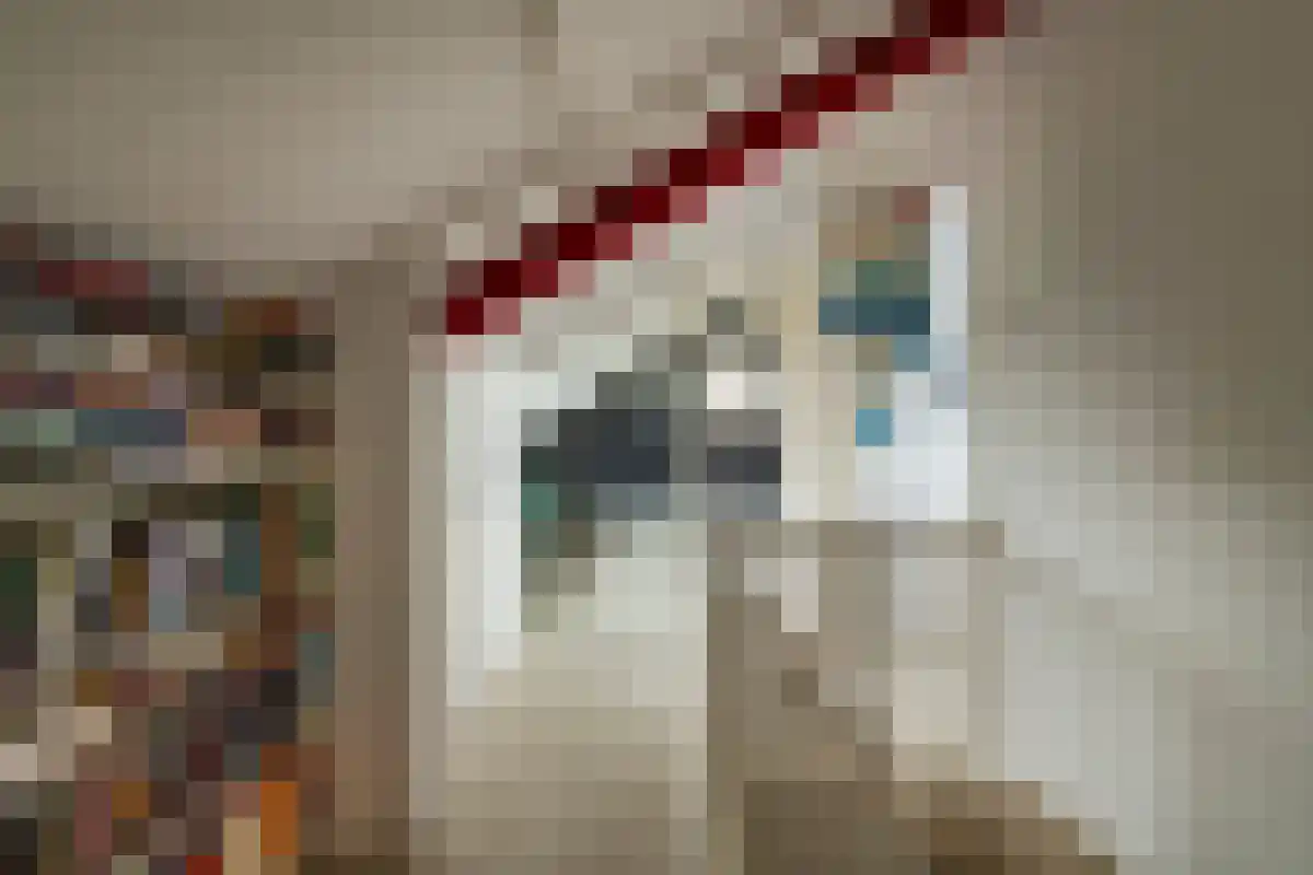 Coornhertlaan 18 Eindhoven thumbnail 22