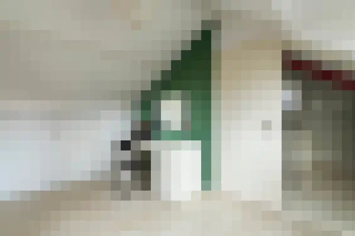 Coornhertlaan 18 Eindhoven thumbnail 24
