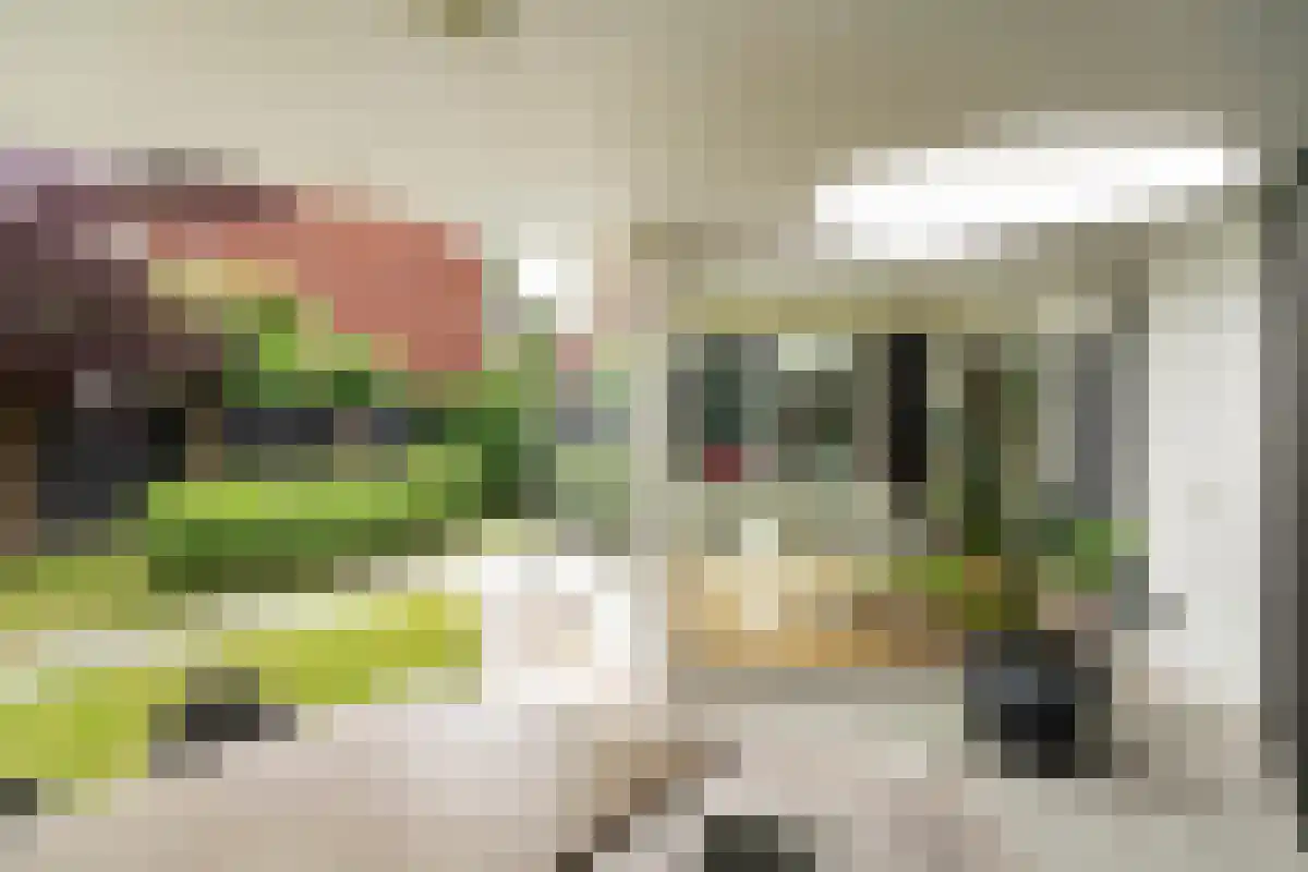 Coornhertlaan 18 Eindhoven thumbnail 28