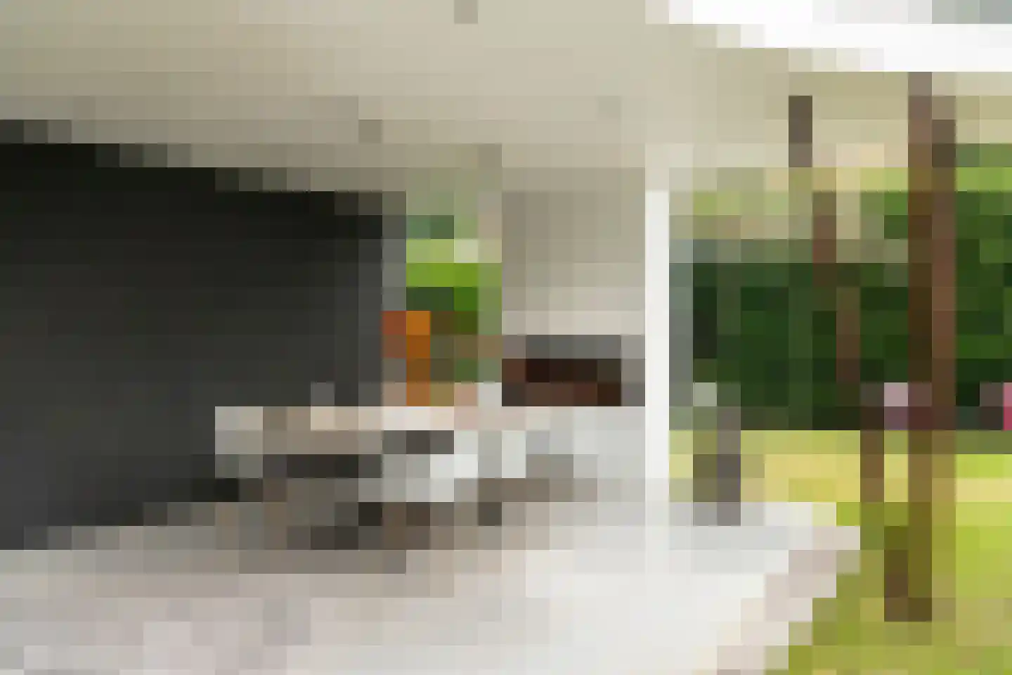 Coornhertlaan 18 Eindhoven thumbnail 29
