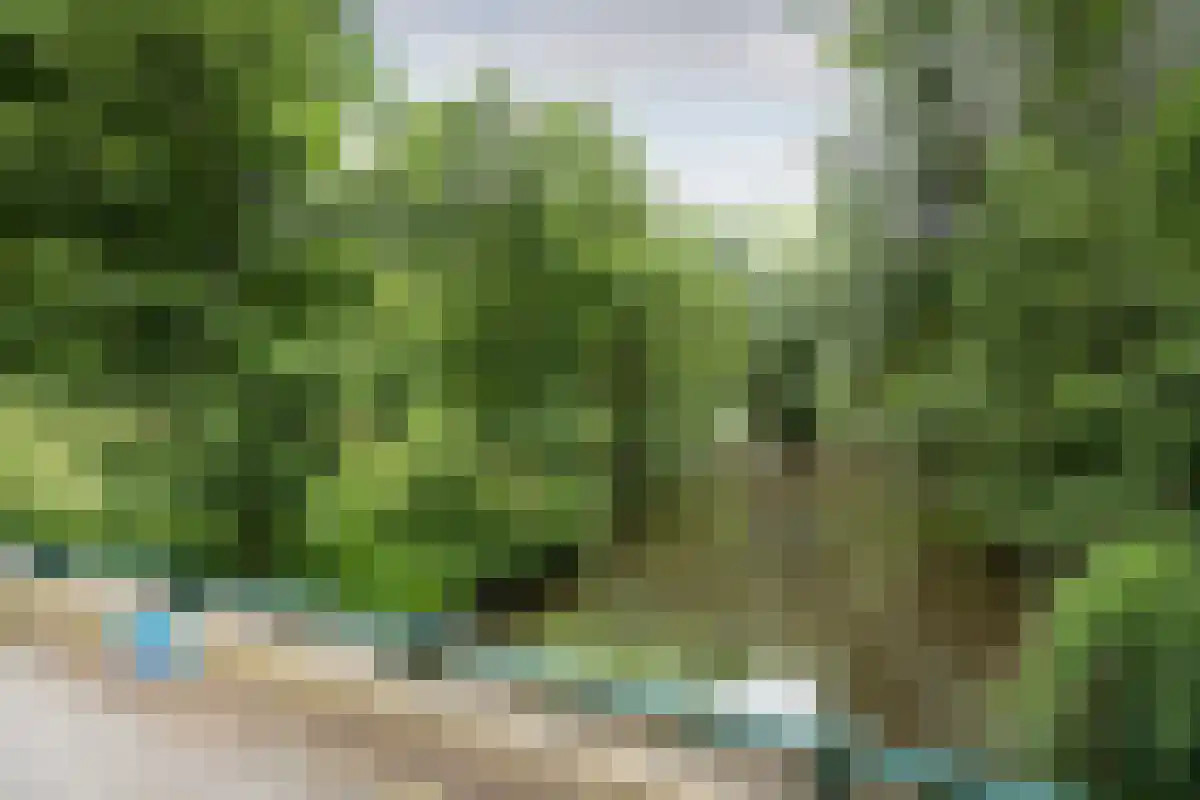 Coornhertlaan 18 Eindhoven thumbnail 35
