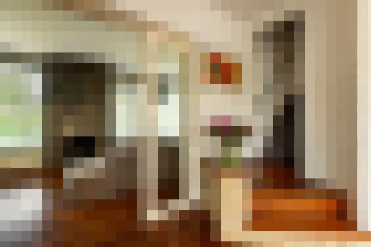 Coornhertlaan 18 Eindhoven thumbnail 5