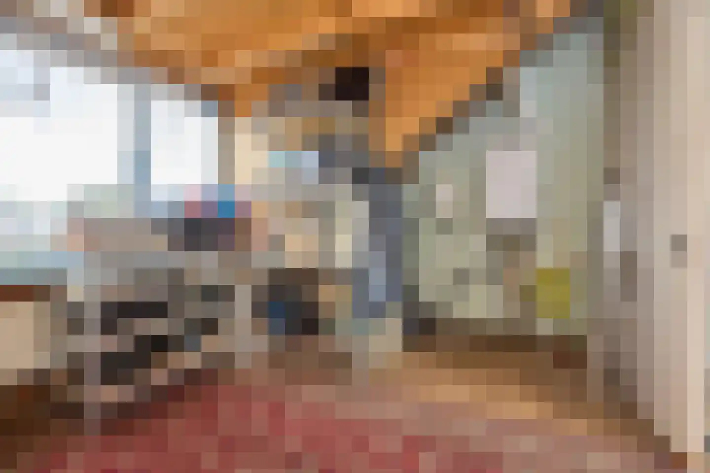 Coornhertstraat 10 A Leiden thumbnail 35