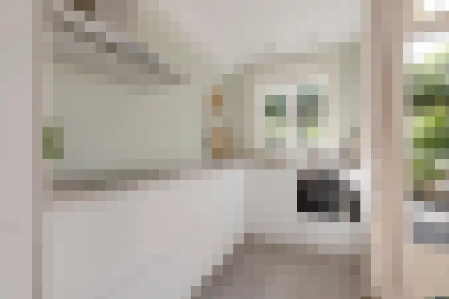 Coornhertstraat 10 Leiden thumbnail 12