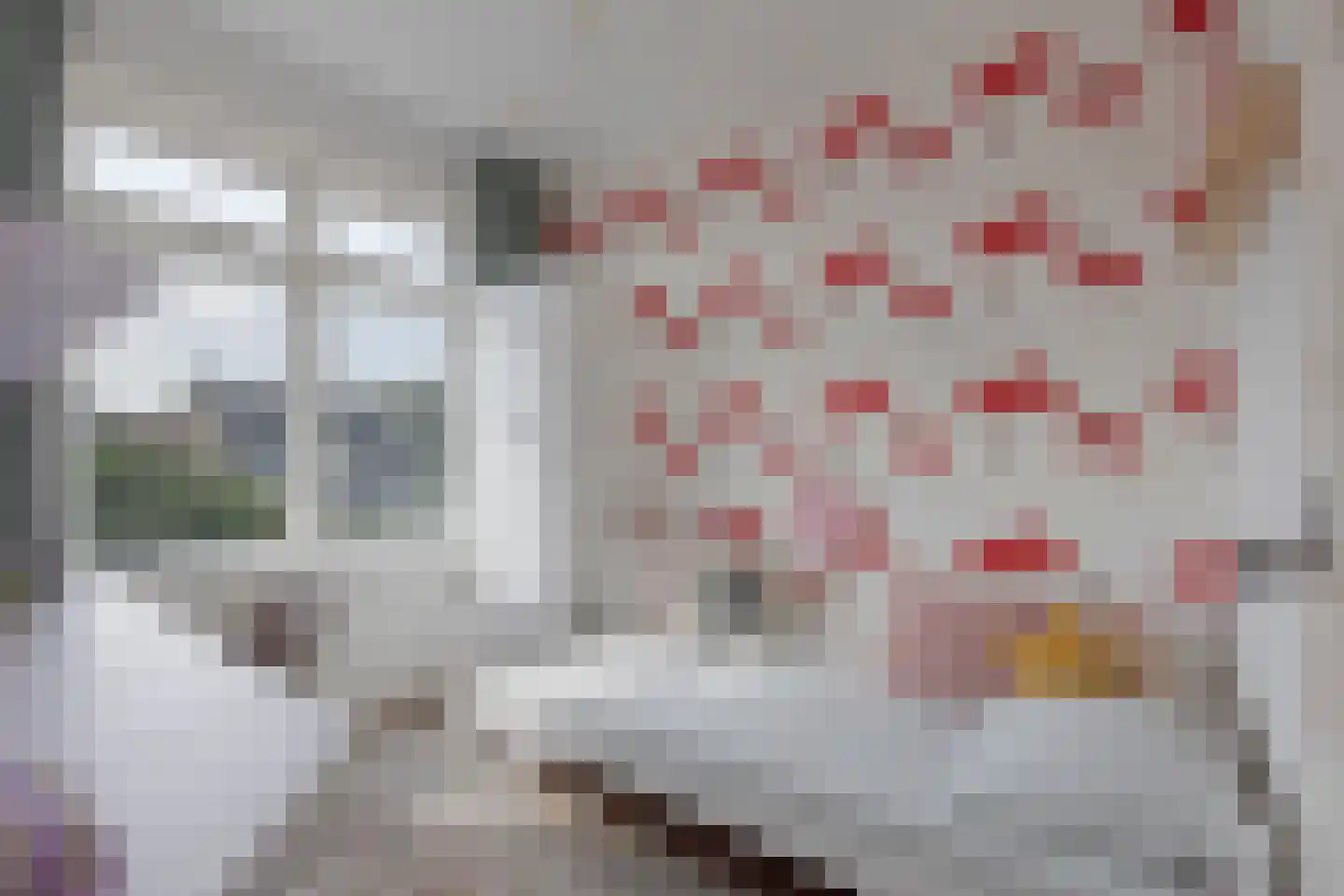 Coornhertstraat 10 Leiden thumbnail 19