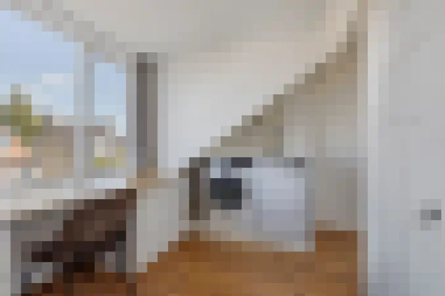 Coornhertstraat 10 Leiden thumbnail 24