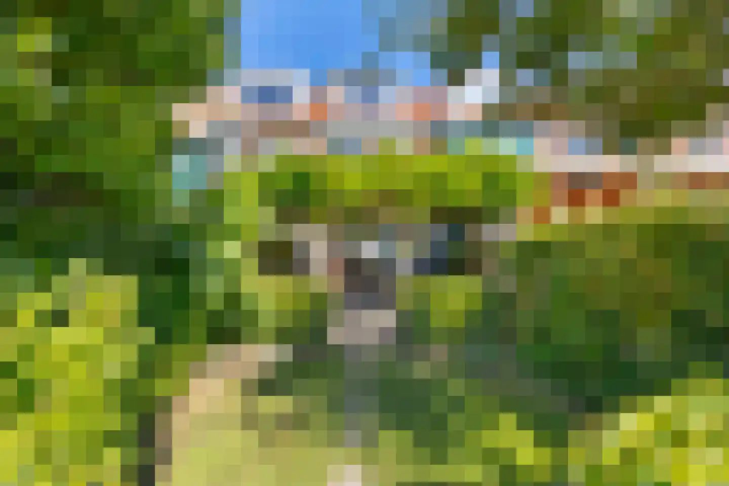 Coornhertstraat 10 Leiden thumbnail 29