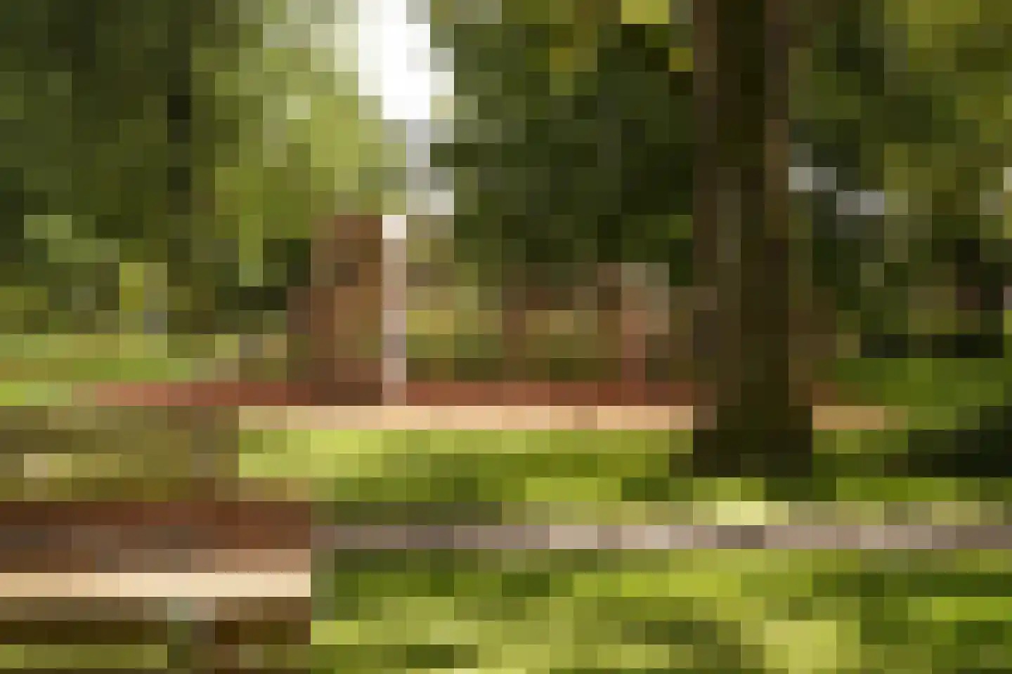 Coornhertstraat 10 Leiden thumbnail 36