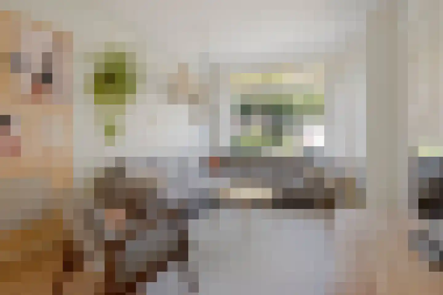 Coornhertstraat 10 Leiden thumbnail 5