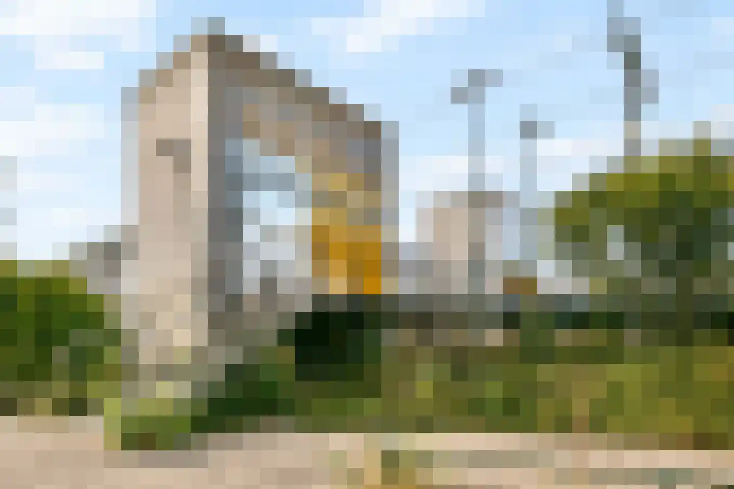 Coornhertstraat 125 Vlaardingen thumbnail 25