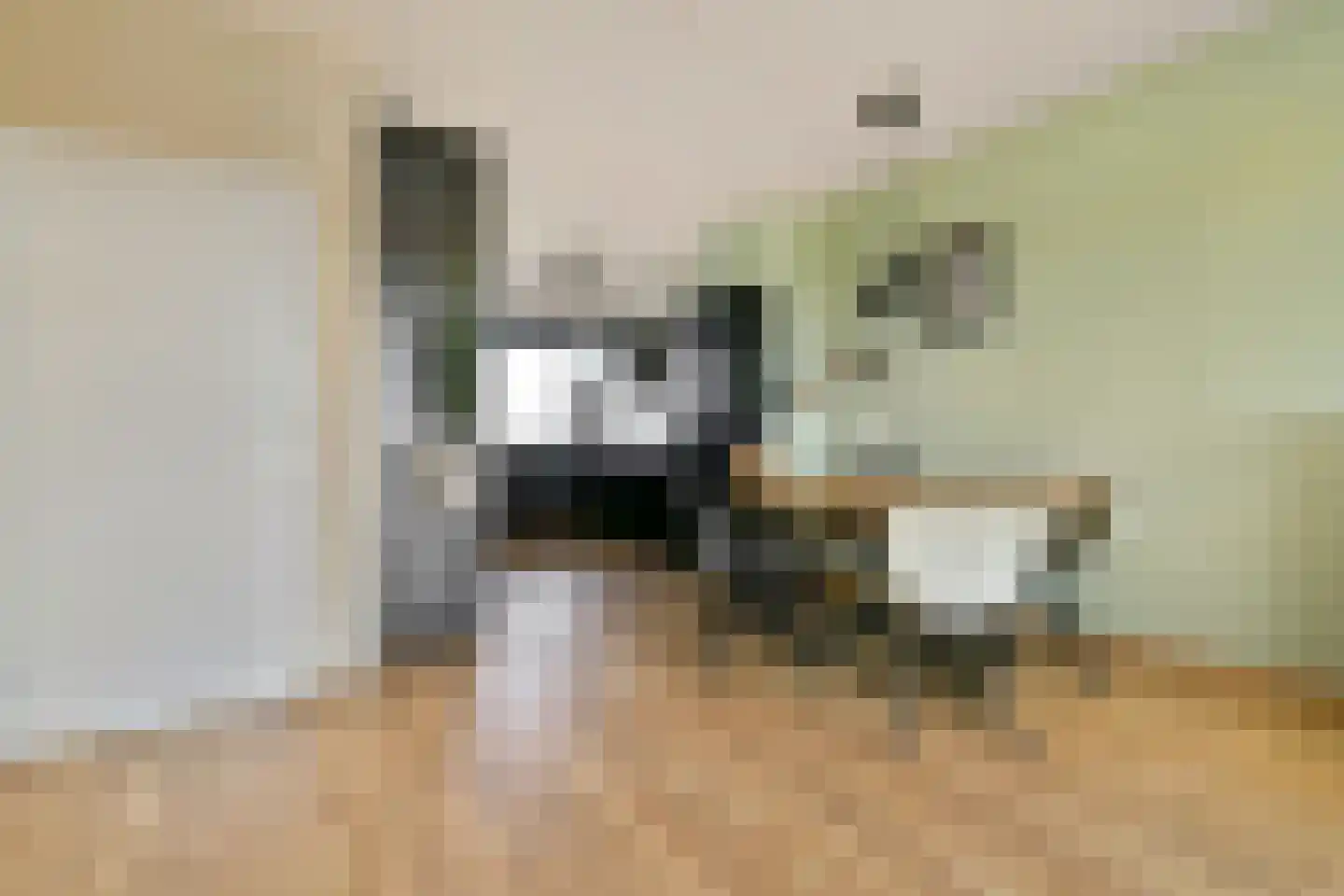 Coornhertstraat 125 Vlaardingen thumbnail 4