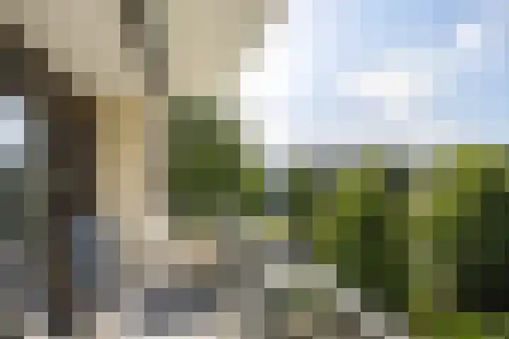 Coornhertstraat 13 Vlaardingen thumbnail 13