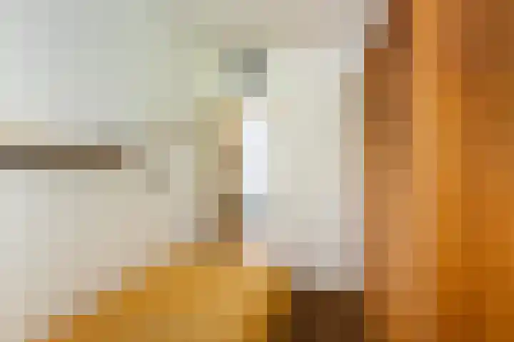 Coornhertstraat 13 Vlaardingen thumbnail 27