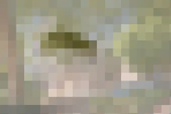 Coornhertstraat 13 Vlaardingen thumbnail 4