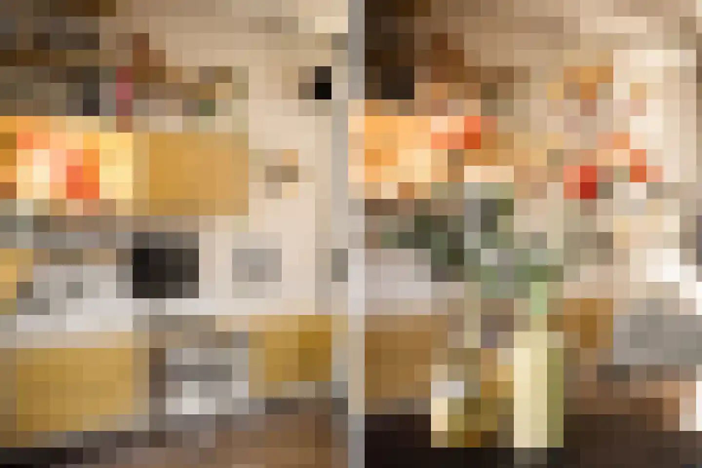 Coornhertstraat 14 Haarlem thumbnail 12