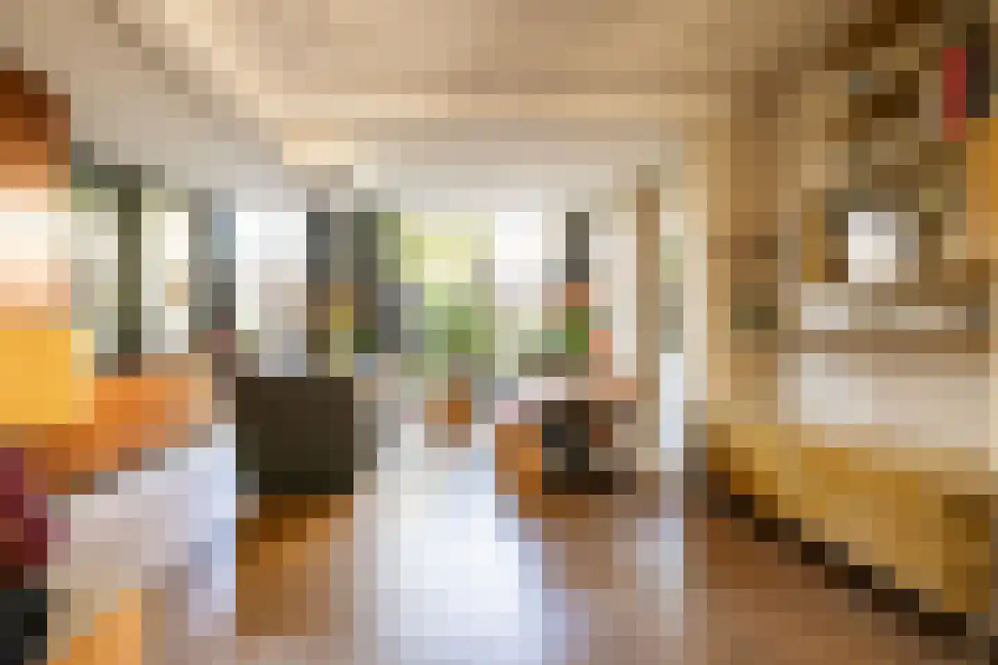 Coornhertstraat 14 Haarlem thumbnail 14