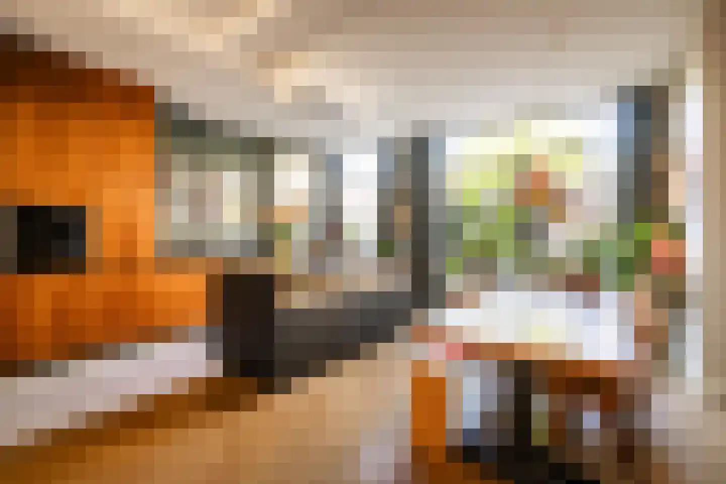Coornhertstraat 14 Haarlem thumbnail 15