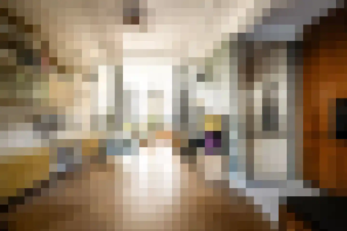 Coornhertstraat 14 Haarlem thumbnail 24