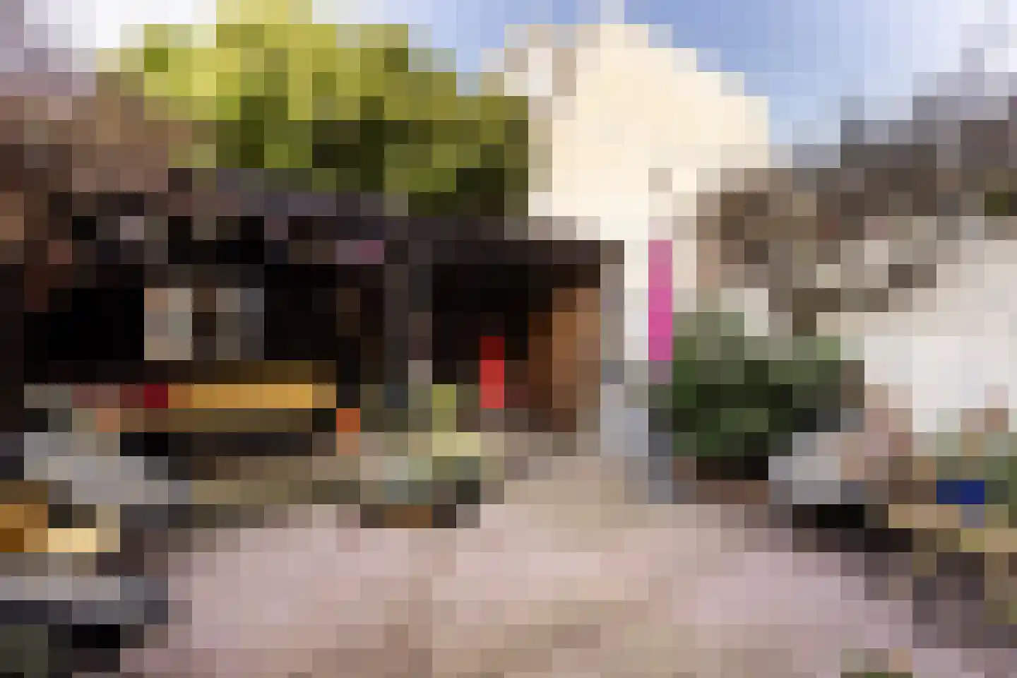 Coornhertstraat 14 Haarlem thumbnail 25