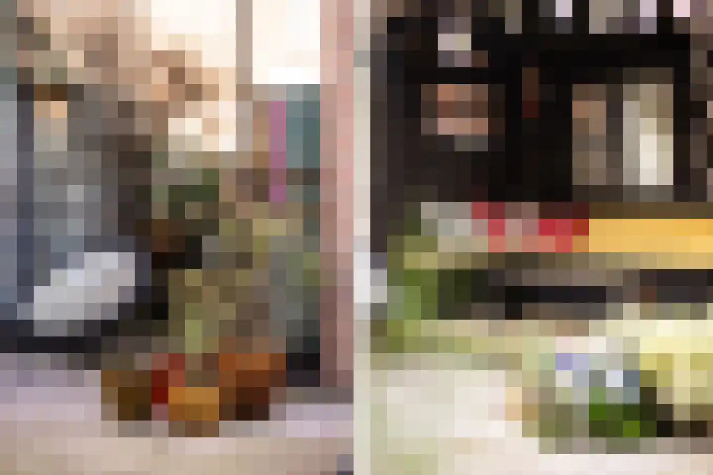 Coornhertstraat 14 Haarlem thumbnail 26