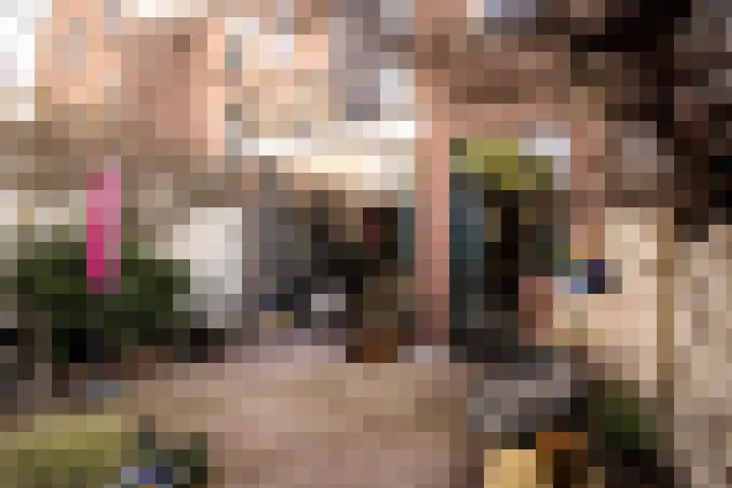 Coornhertstraat 14 Haarlem thumbnail 27