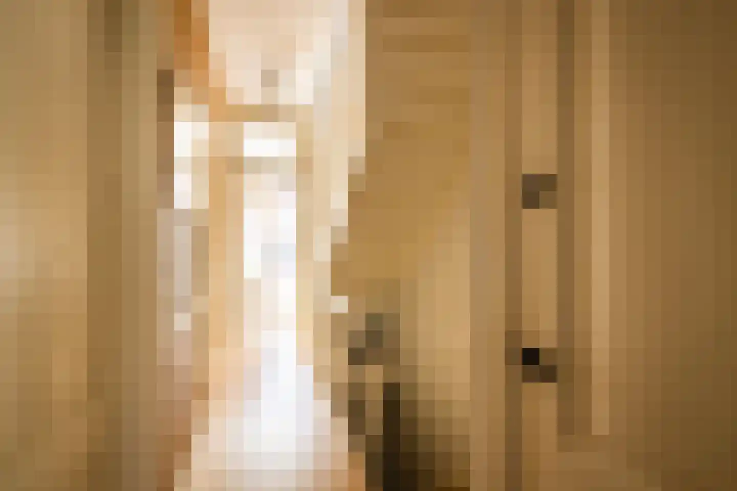 Coornhertstraat 14 Haarlem thumbnail 31