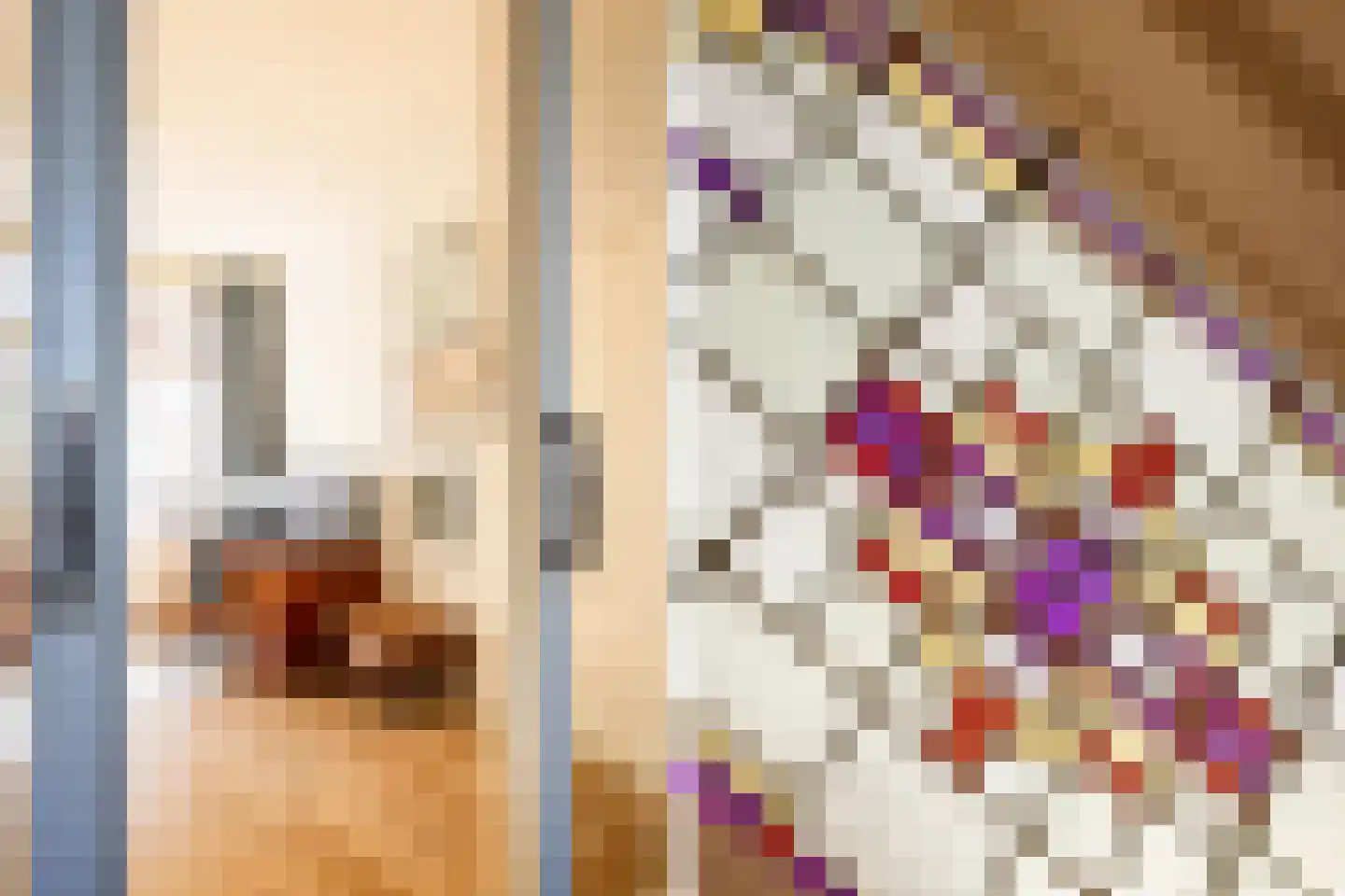 Coornhertstraat 14 Haarlem thumbnail 34