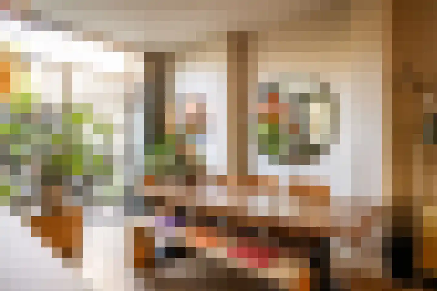Coornhertstraat 14 Haarlem thumbnail 4