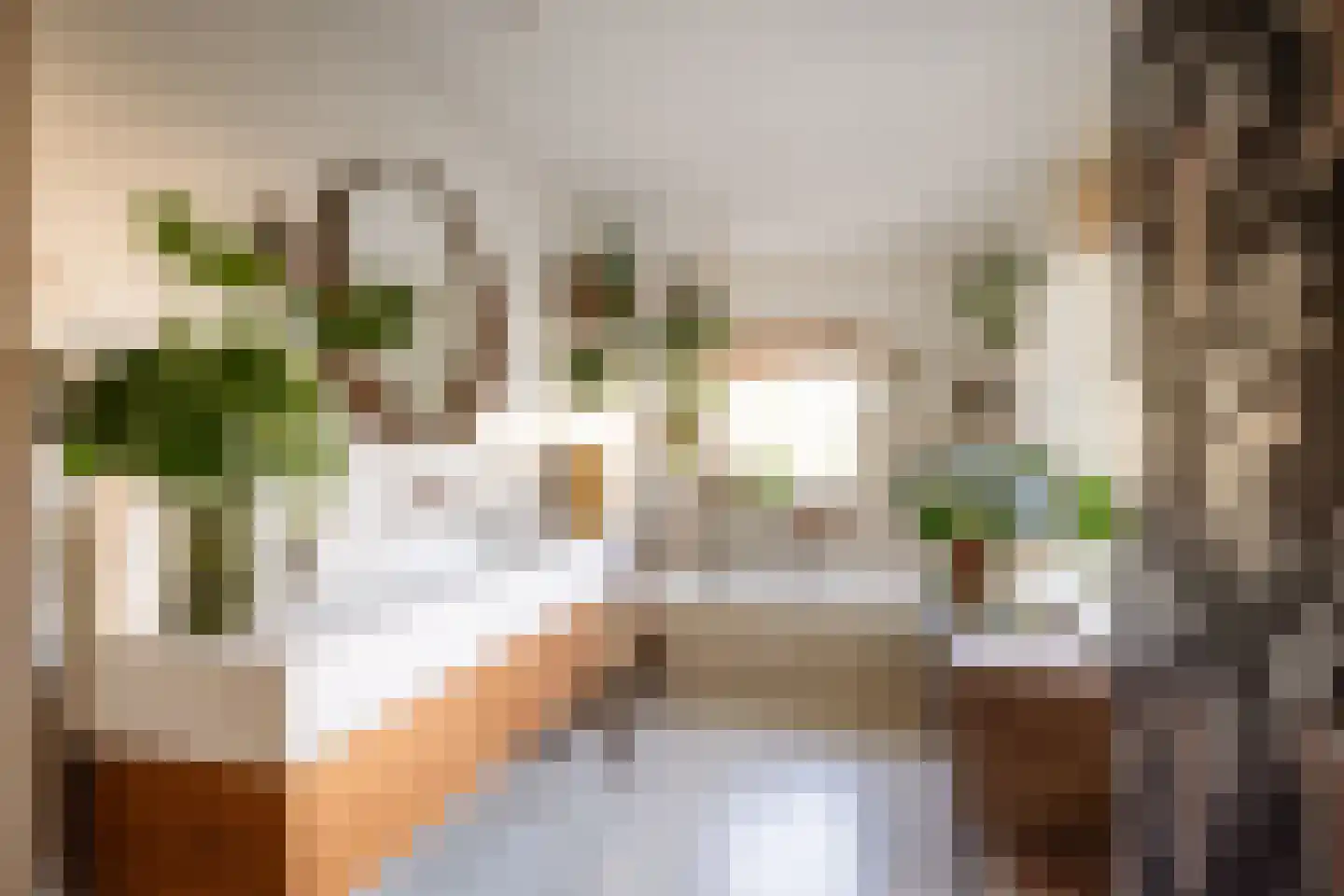 Coornhertstraat 14 Haarlem thumbnail 43