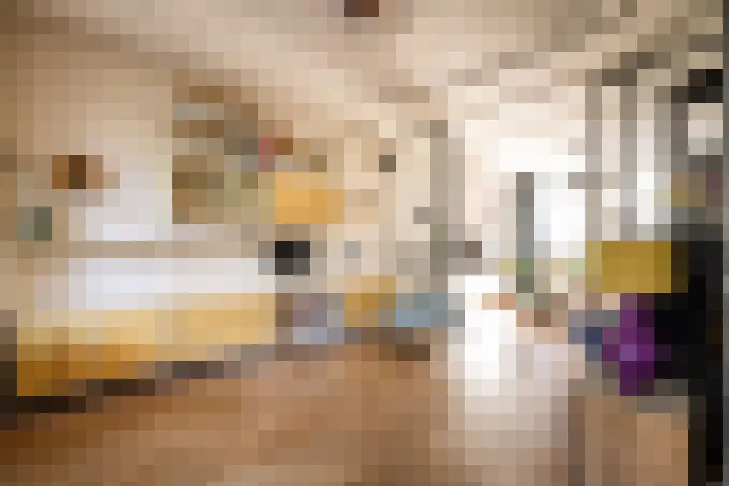 Coornhertstraat 14 Haarlem thumbnail 5