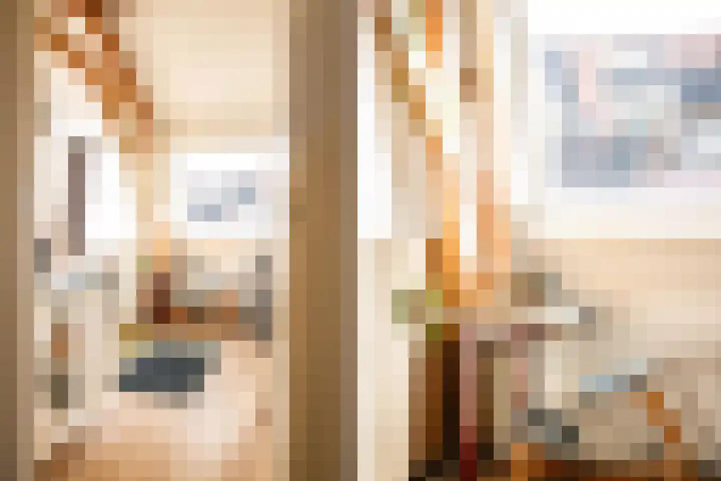 Coornhertstraat 14 Haarlem thumbnail 51