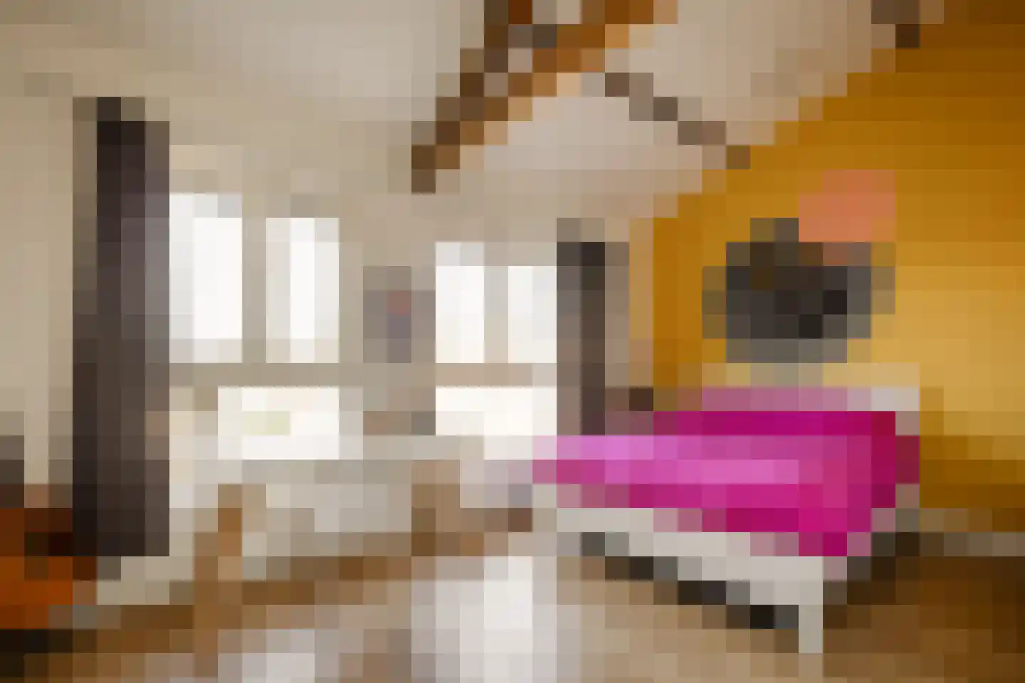 Coornhertstraat 14 Haarlem thumbnail 55