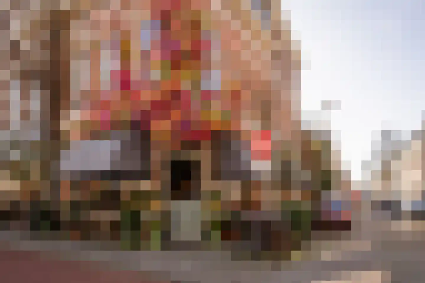 Coornhertstraat 14 Haarlem thumbnail 60