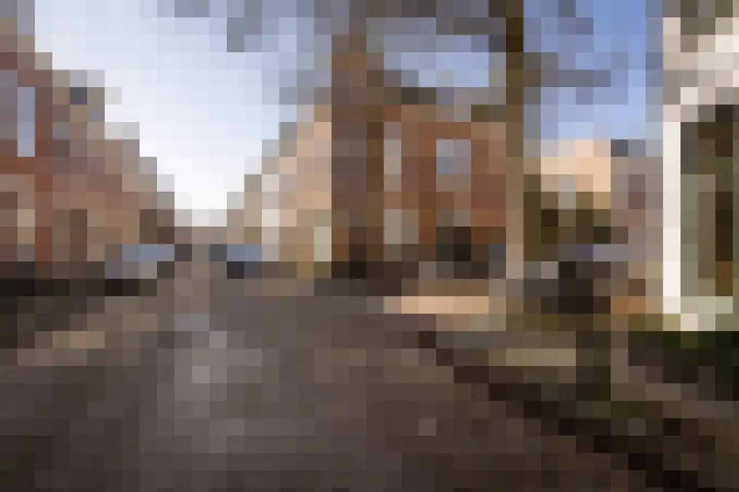 Coornhertstraat 14 Haarlem thumbnail 61