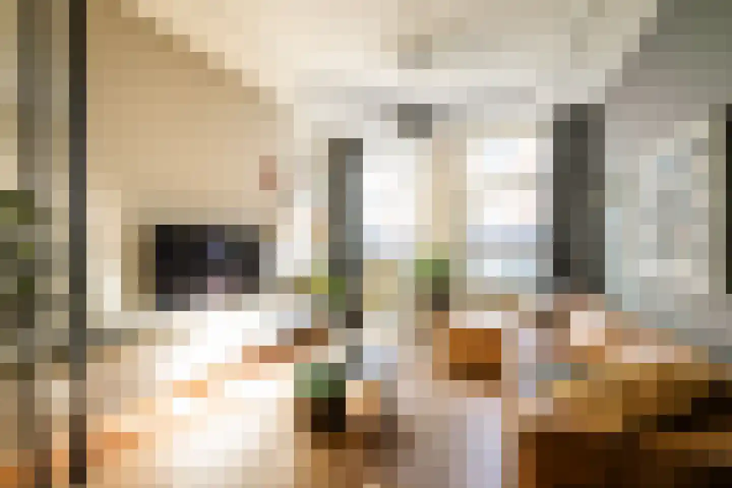 Coornhertstraat 14 Haarlem thumbnail 7