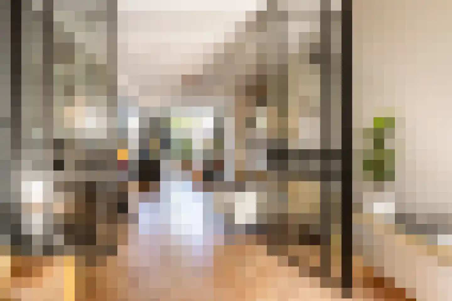 Coornhertstraat 14 Haarlem thumbnail 9