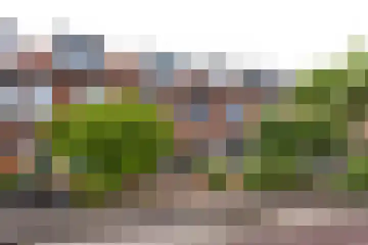 Coornhertstraat 15 Leiden thumbnail 27