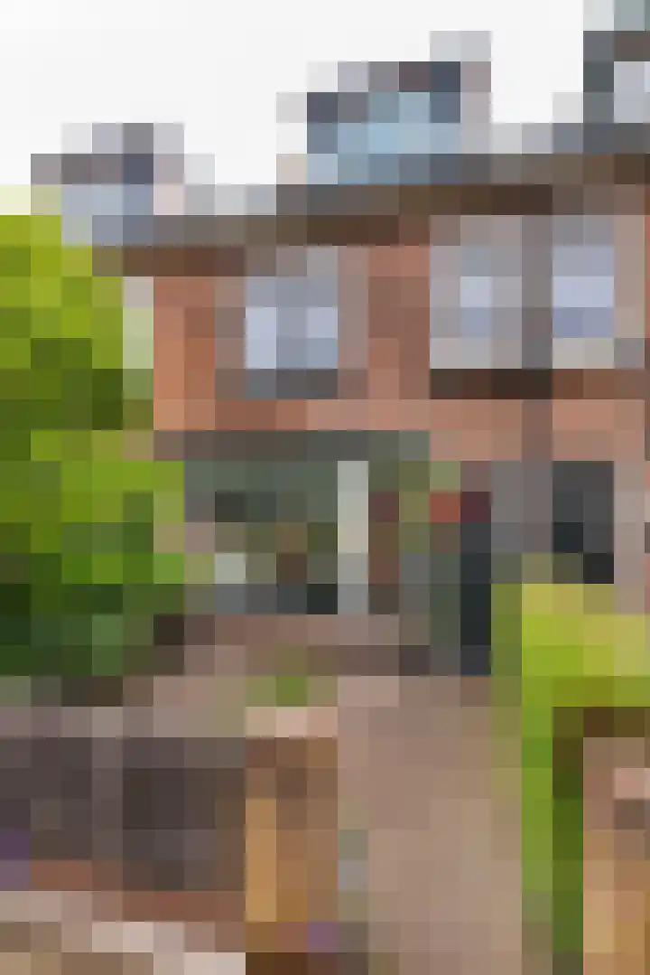 Coornhertstraat 15 Leiden thumbnail 28